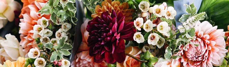 Florists, Floral Arrangements, Bouquets in the Morrisville, Bucks County PA area