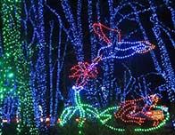 Shady Brook Holiday Light Show